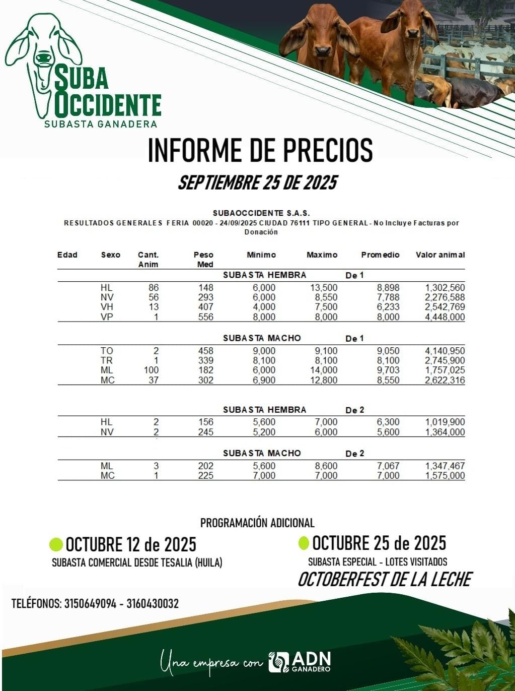Precios 25sept