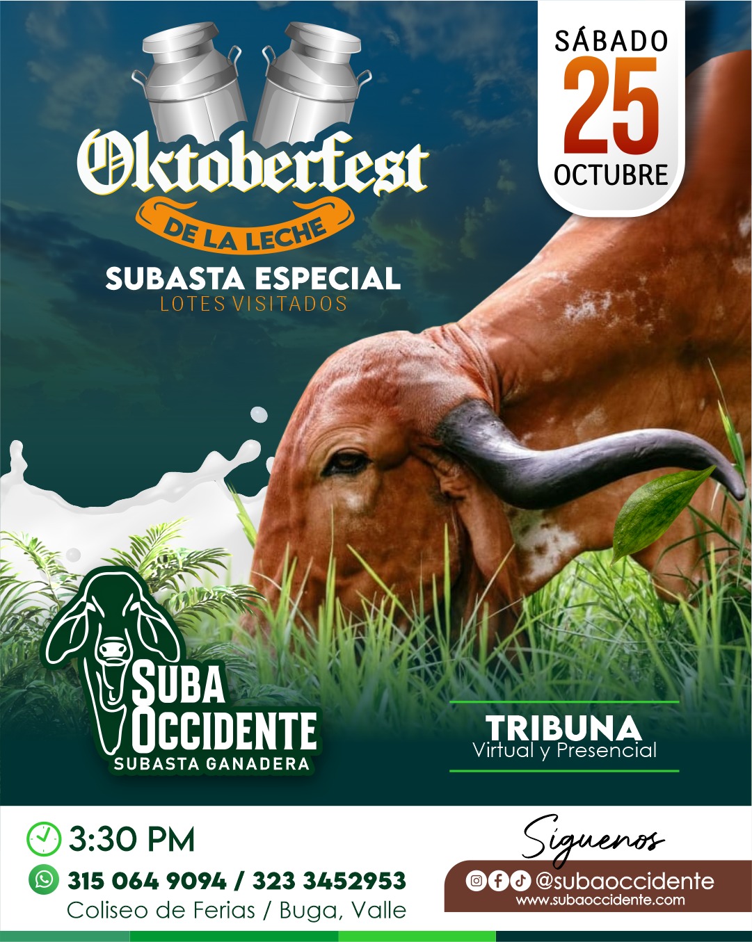 Subasta Especial 25oct