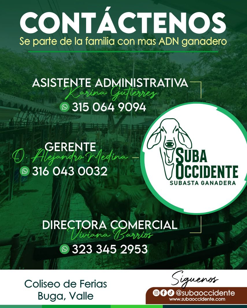 contactenos