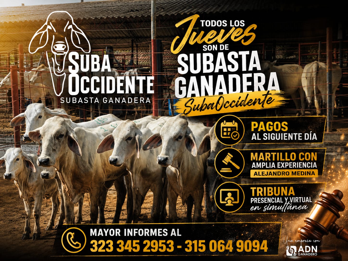 todos los jueves